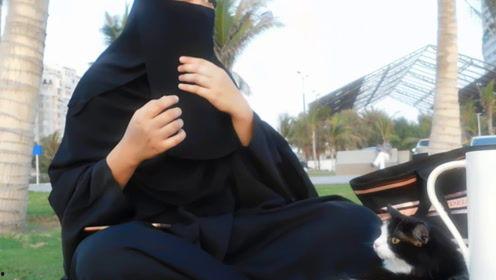 娱乐吃瓜君说七七,七七背后的惊人故事